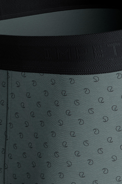 Bóxer Pack de algodón estampado y liso N39, Impetus